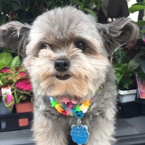 Meet your Posher, Elizabeth